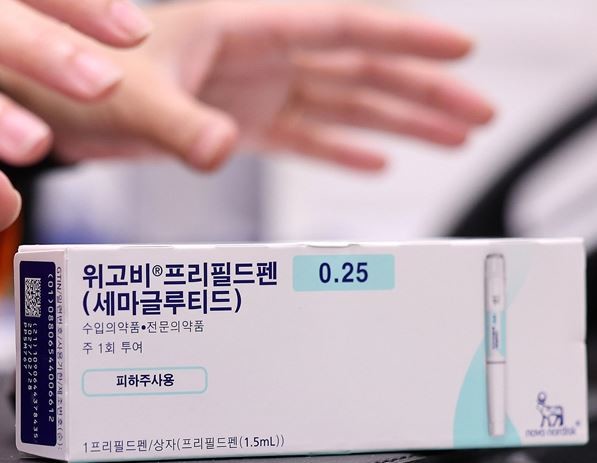 위고비 / 뉴스1