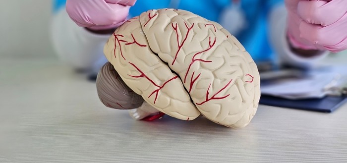 기사의 이해를 돕기 위한 사진 / NMK-Studio-shutterstock.com
