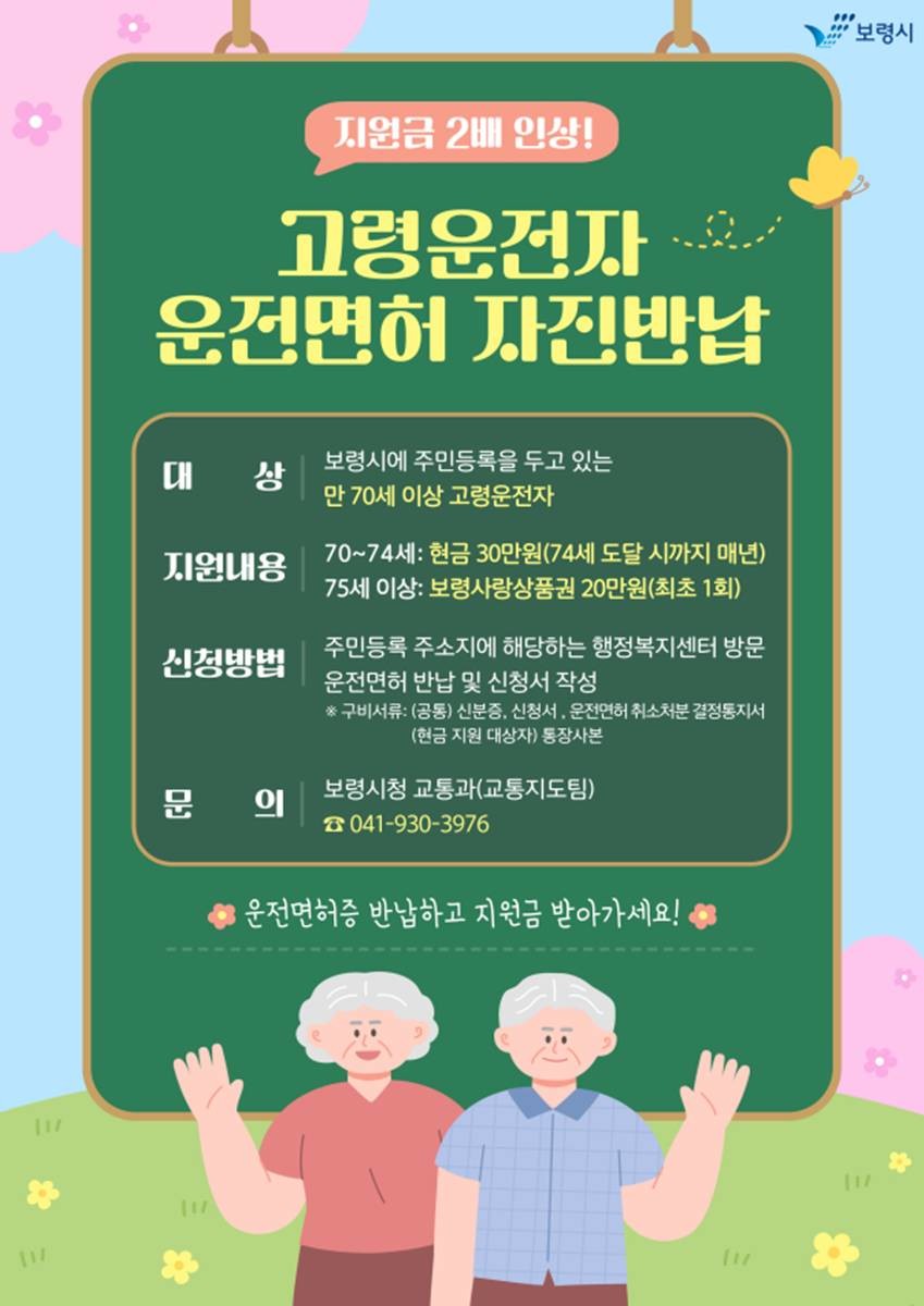 고령운전자 운전면허 자진반납 안내문 / 보령시 제공
