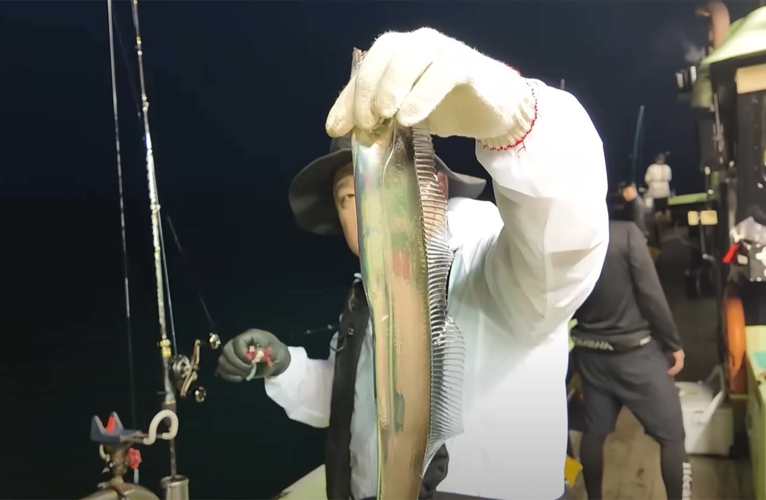 유튜버 마초가 낚은 갈치. / '마초TV' 유튜브