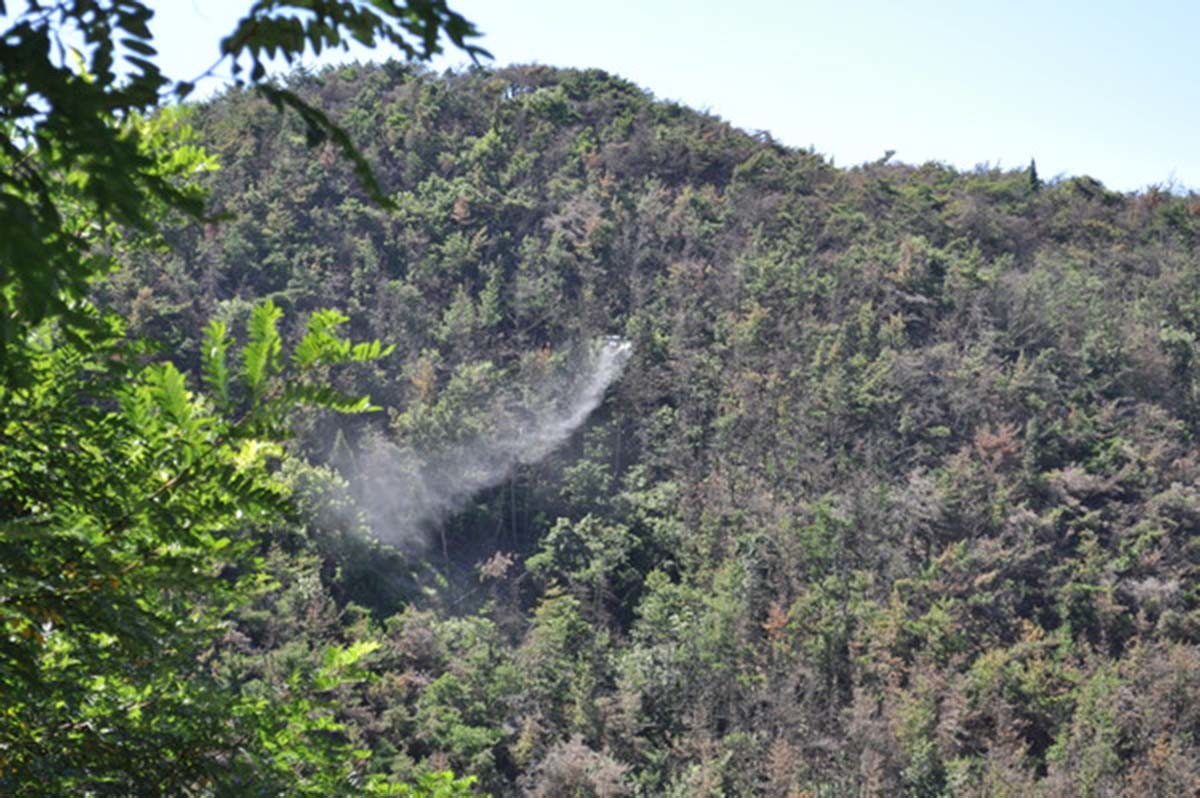 소나무재선충병 드론 방제 모습. / 산림청 제공