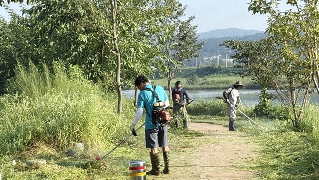 나주시 남평읍 지석강유역관리협의체는 지난 5일 지석천 산책로 및 자전거도로, 소공원, 코스모스밭 일대에서 대대적인 풀베기 환경정비 봉사활동을 실시했다.