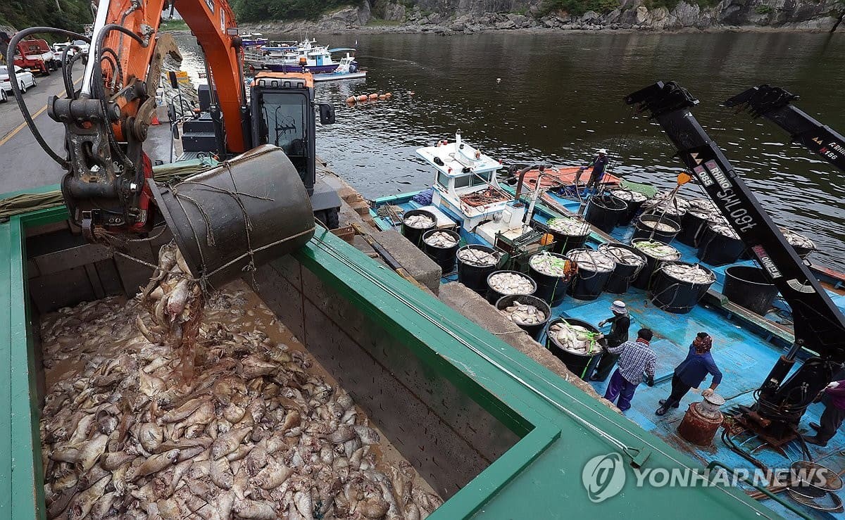 남해 폐사 참돔 수거 / 연합뉴스