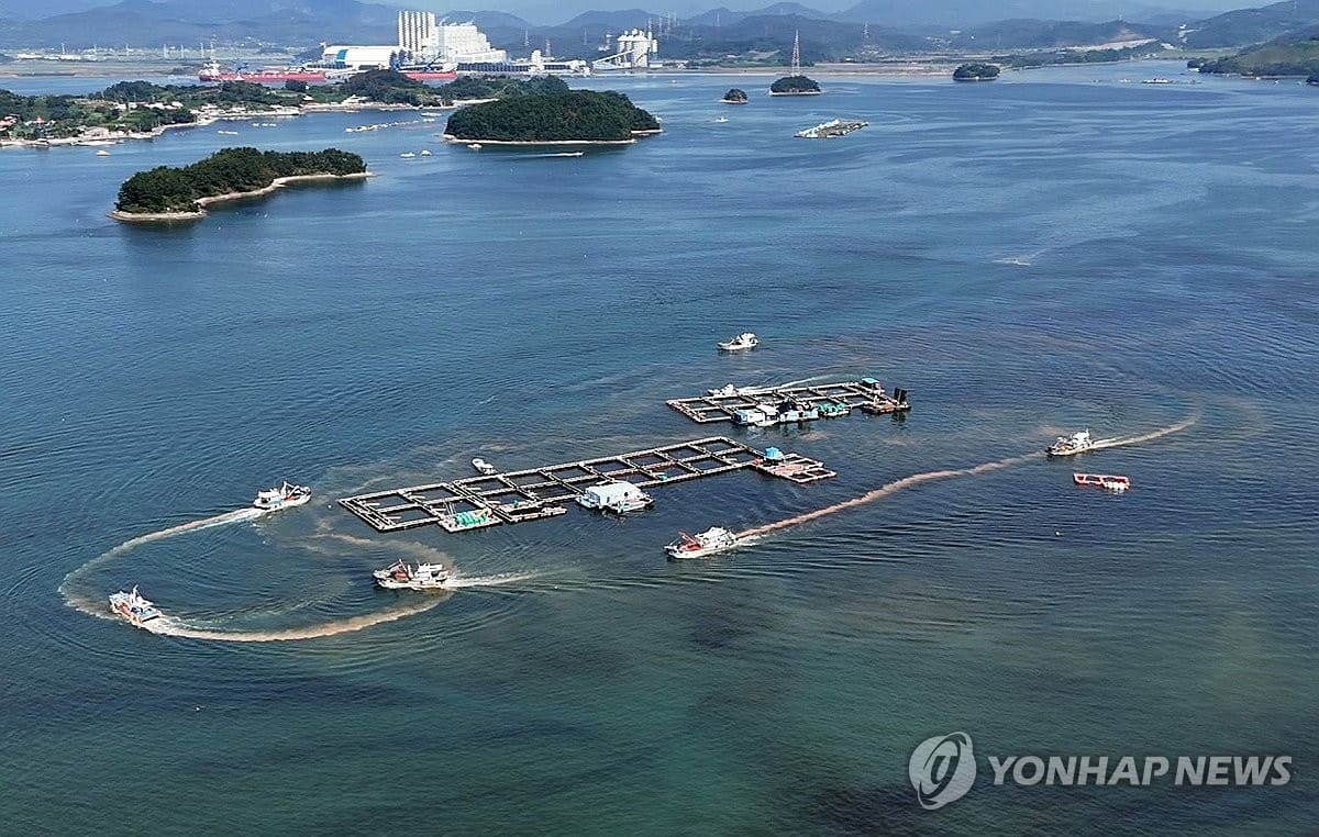 지난달 29일 경남 남해군 고현면 차면리 앞바다에서 어선이 빨간 적조 띠 주변으로 황토를 사용해 방제작업을 하고 있다. / 독자 제공=연합뉴스