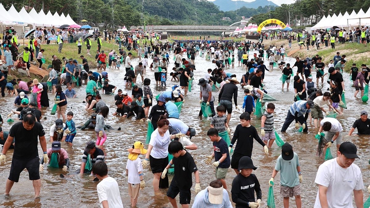 지난 6일 충북 괴산군 동진천에서 열린 2025 괴산고추축제 체험 프로그램 '고추물고기를 잡아라'에서 참가자들이 메기를 잡고 있는 모습 / 뉴스1