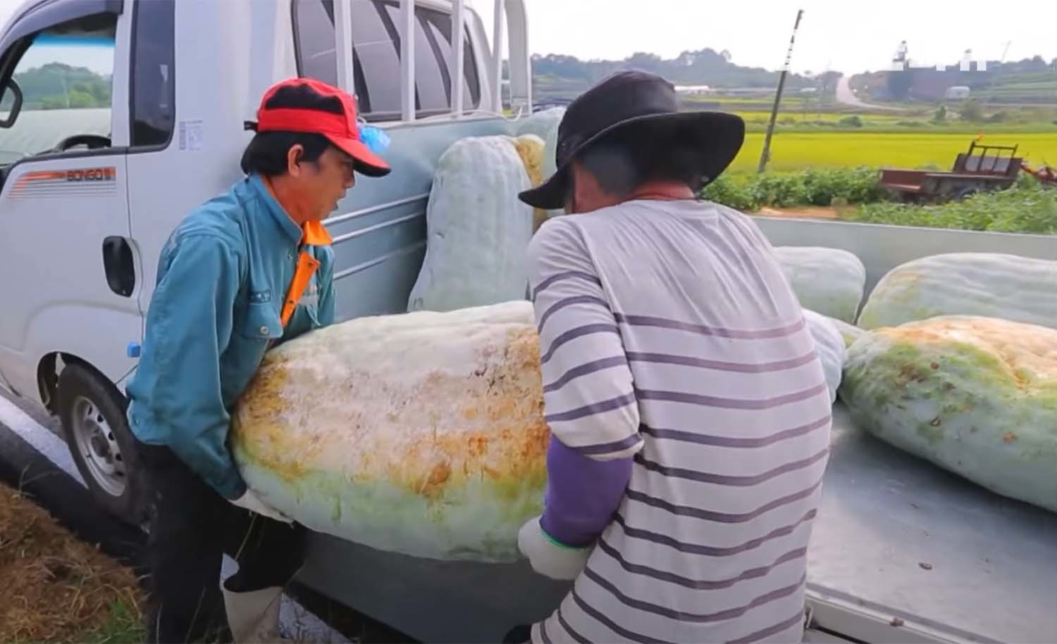 성인 남성 둘이 동아 한 개를 차에 싣고 있다. / EBS '한국기행'