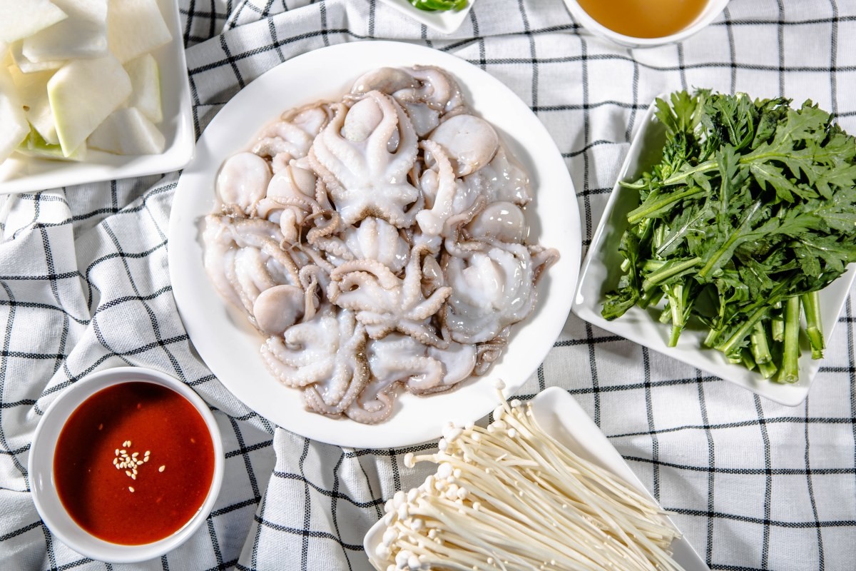 주꾸미 자료사진. / shutterstock.com - koreakong