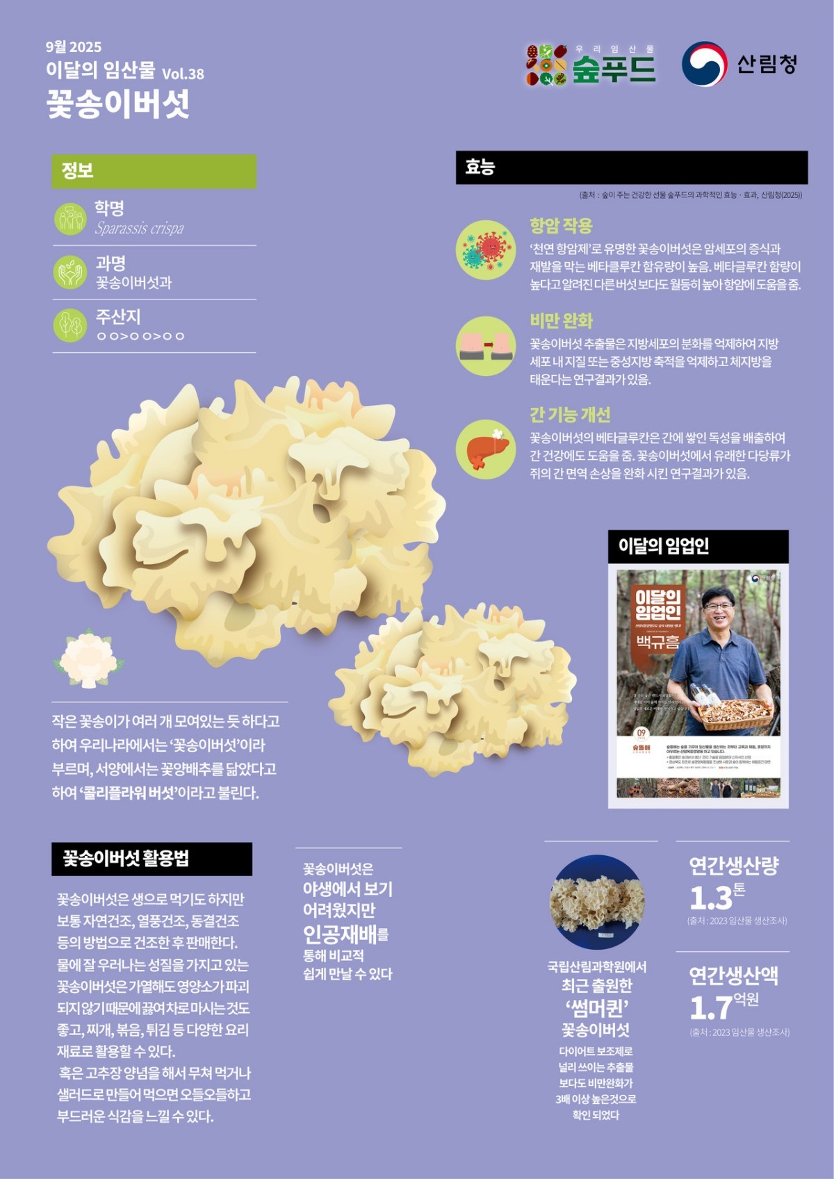산림청은 9월 이달의 임산물로 ‘꽃송이버섯’을 선정했다. / 산림청 제공
