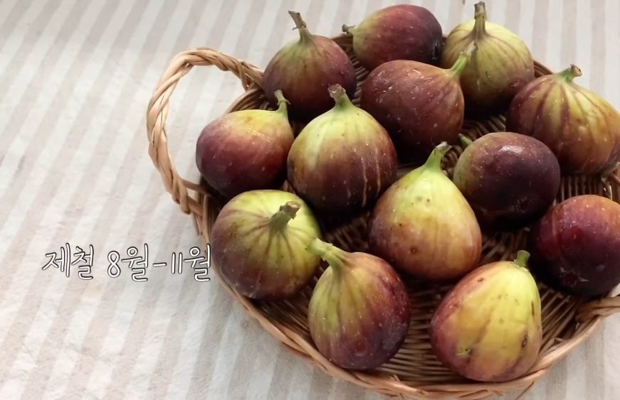 유튜브 '느슨한 유준이네'