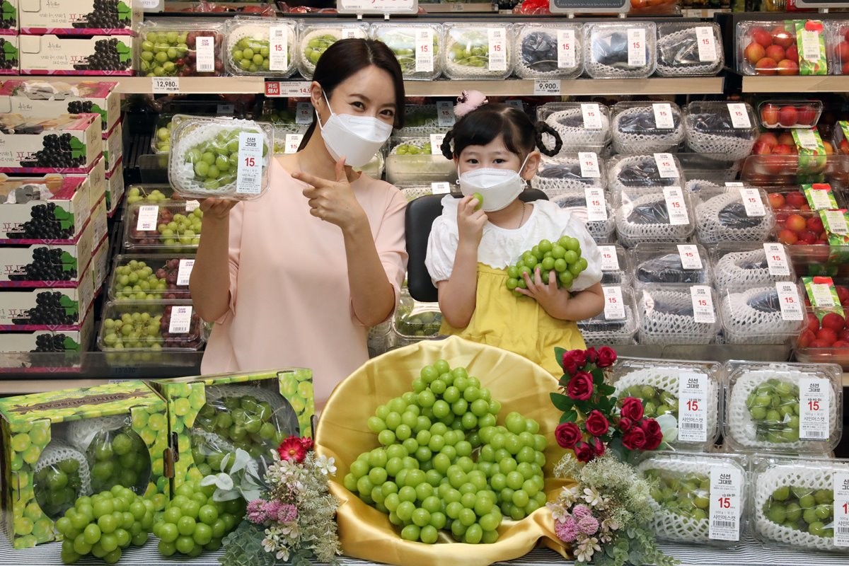 대형마트에서 판매한 샤인머스캣 자료 사진 / 뉴스1