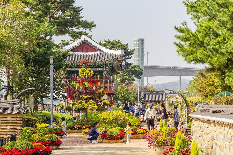 지난해 국화축제 모습
