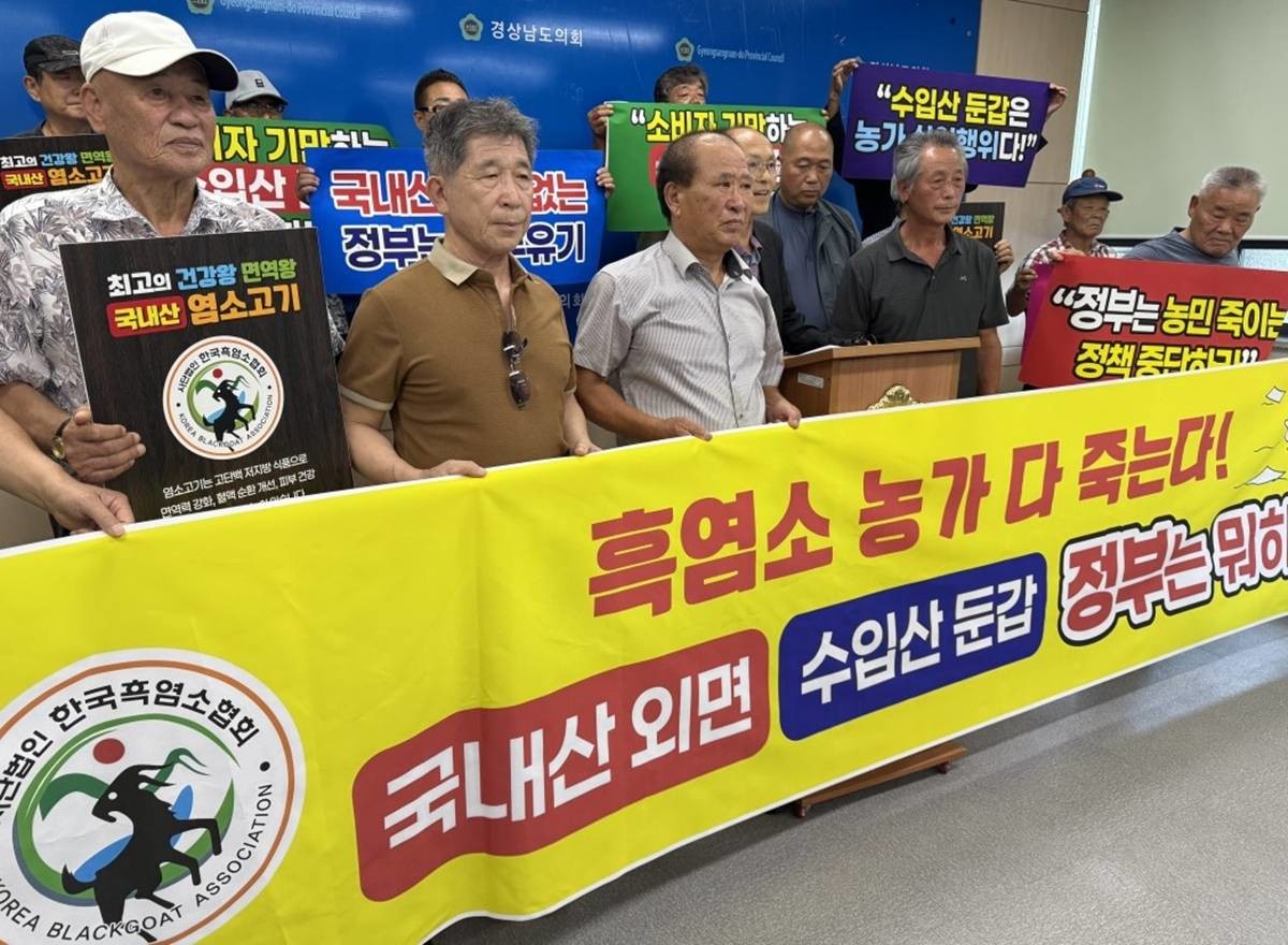 수입산 흑염소 원산시 표시 단속 요구하는 경남 흑염소 농가 / 연합뉴스