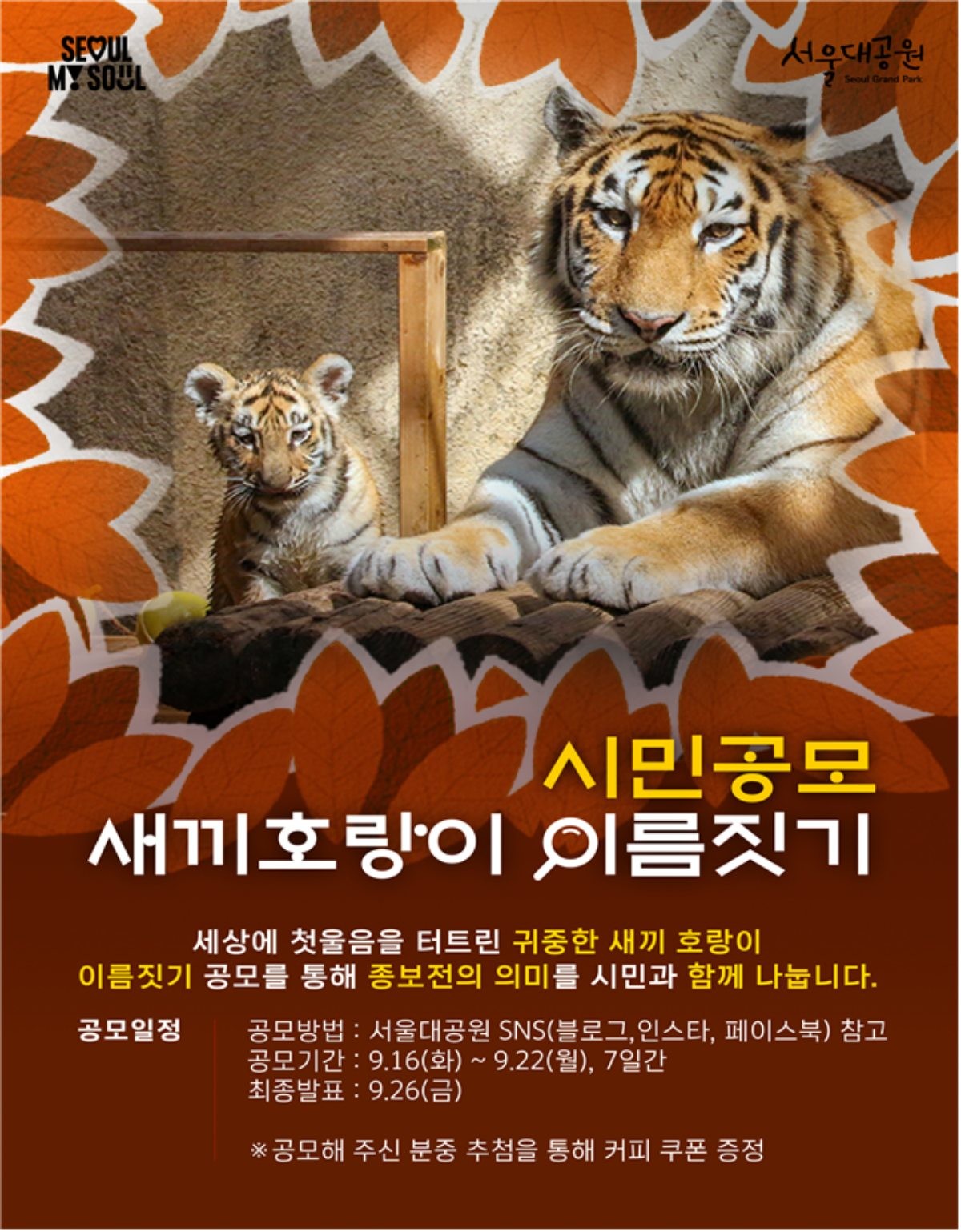 새끼 호랑이 이름 공모 포스터 / 서울대공원 제공