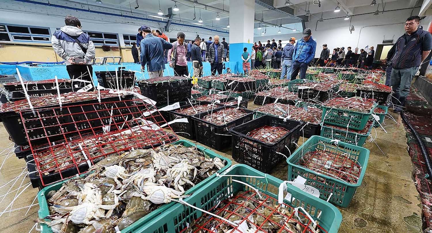 경매를 기다리는 꽃게 / 연합뉴스 자료사진