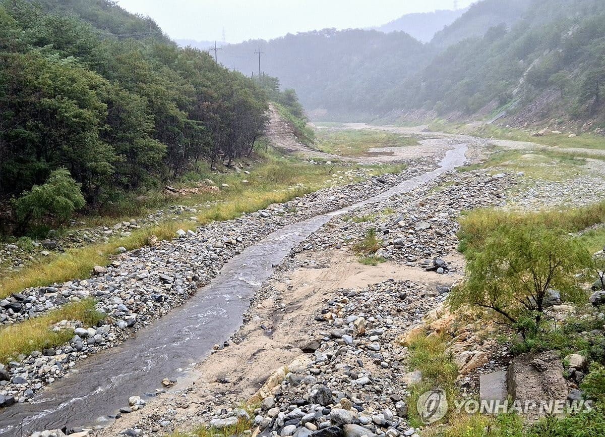 13일 가뭄으로 메마른 강원 강릉시 오봉저수지 상류에 비가 내리며 물이 흐르고 있다. 강릉지역의 생활용수 87%를 공급하고 있는 오봉저수지의 저수율은 오전 8시 기준 11.8%로(평년 71.4%) 전날보다 0.3%포인트 오르는 데 그쳤다. / 연합뉴스