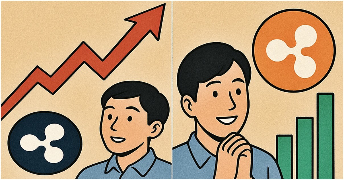 기사 내용을 바탕으로 한 참고 이미지
