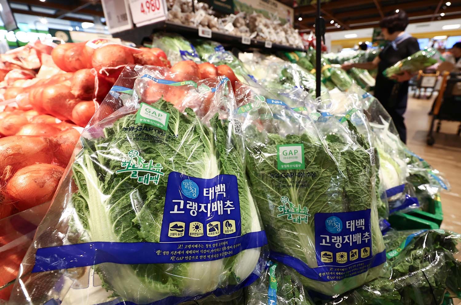 지난 4일 서울 시내의 한 마트에 진열된 배추. / 뉴스1