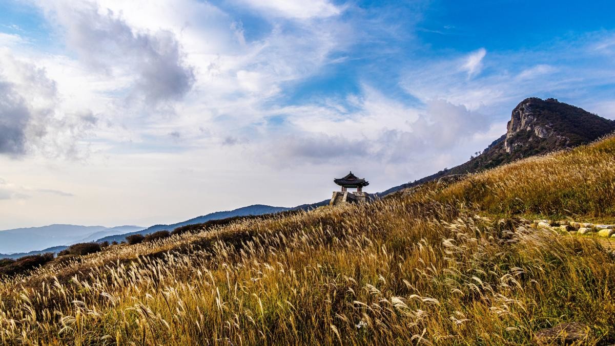 억새 만발한 황매산 모습. / Stock for you-shutterstock.com
