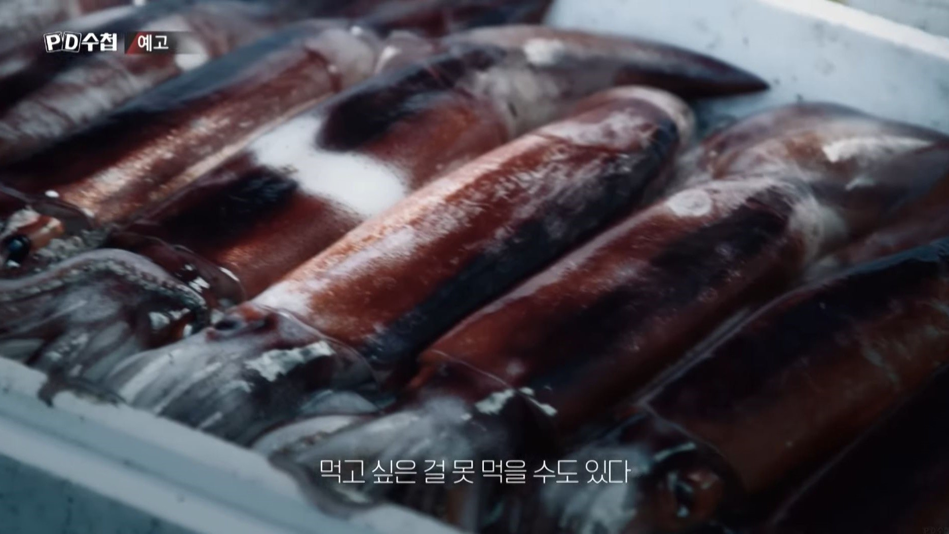 MBC ‘PD수첩’ 예고편 자료 사진. / MBC 제공
