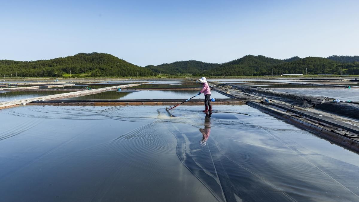 신안 소금밭. / Stock for you-shutterstock.com