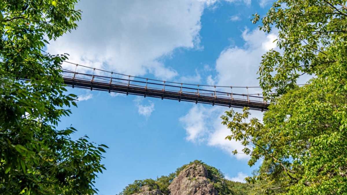 하늘을 가로지르는 출렁다리 '시원교'. / 전라남도 공식 블로그