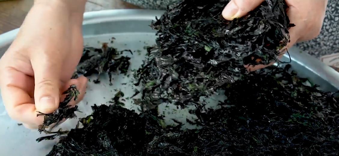 유튜브 '[윤이련]50년요리비결'