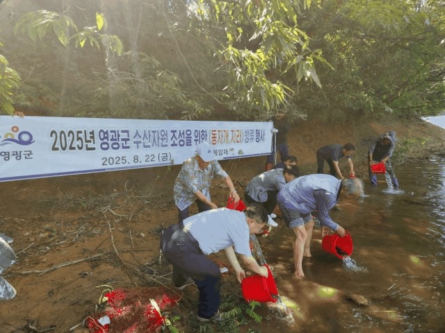 전남 영광군이 메기와 자라 등 어류 종자 약 56만 마리를 방류했다. / 영광군