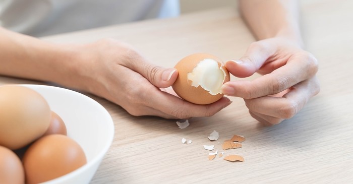 기사의 이해를 돕기 위한 사진 / Pormezz-shutterstock.com