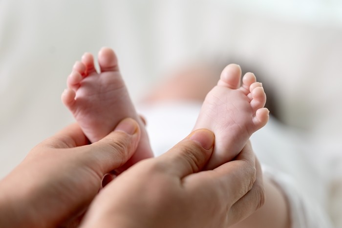 기사의 이해를 돕기 위한 사진 / bigshot01-shutterstock.com