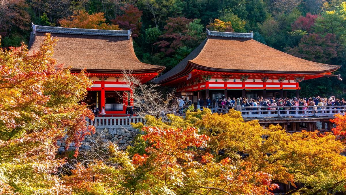 기요미즈데라. / Mistervlad-shutterstock.com