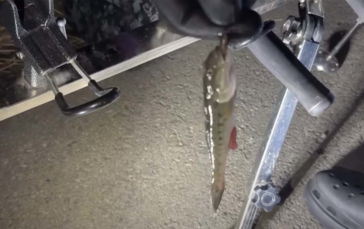 문절망둑 / '마초TV' 유튜브