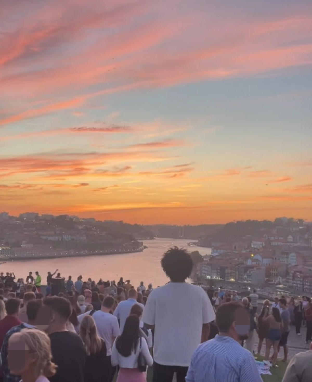 모루정원. / 유튜브 쇼츠 'Hailey_globe'