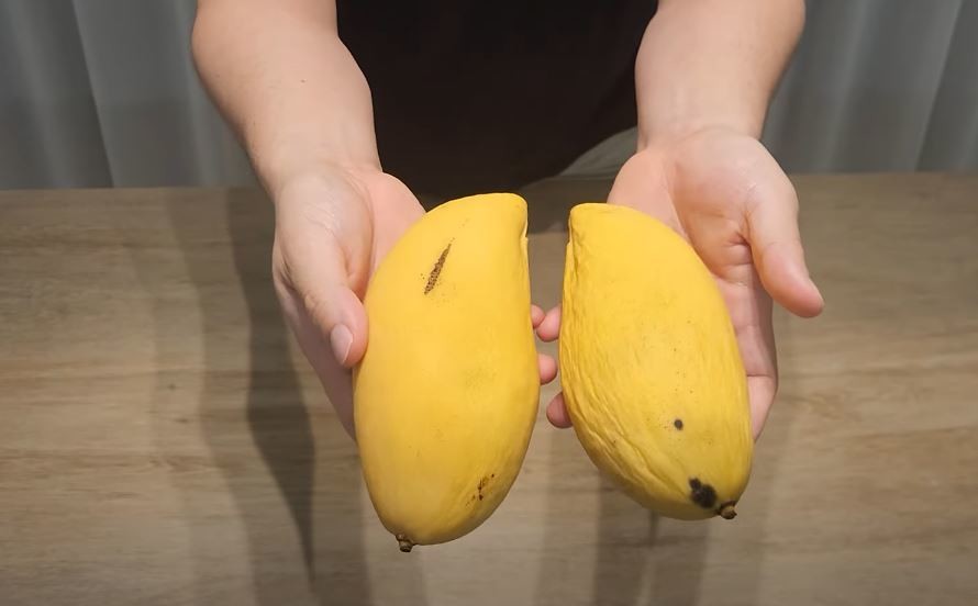 유튜브 '팜르메스, 명품과일 선물'