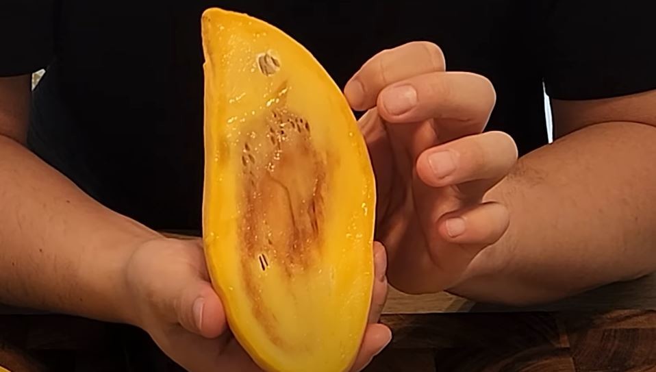 유튜브 '팜르메스, 명품과일 선물'
