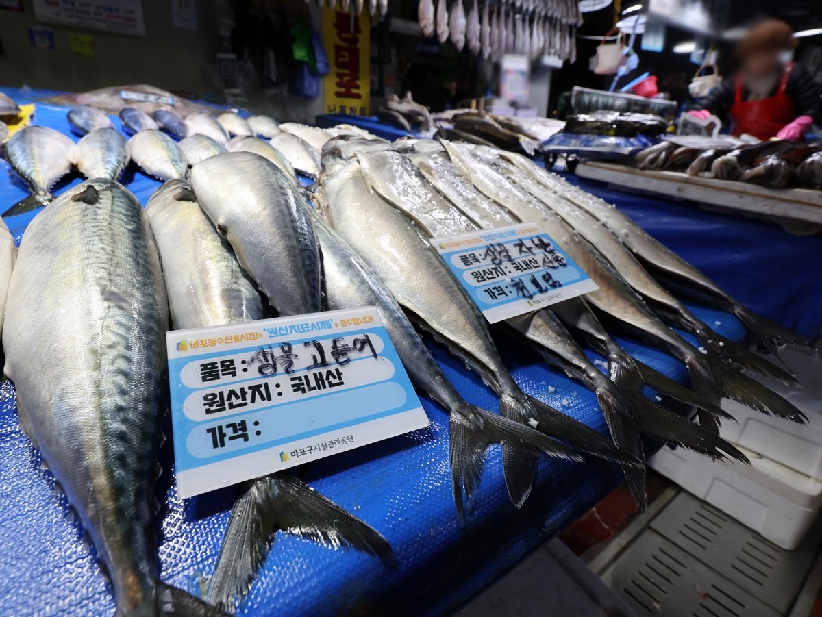 고등어 모습. 기사 이해를 돕기 위한 자료 사진. 국민 수산물 고등어는 단백질과 오메가-3 지방산이 풍부해 건강에 좋으며 구이, 조림, 찜 등 다양한 요리 방식으로 즐길 수 있어 식탁에서 빠지지 않는 단골 메뉴다. 특히 고등어구이는 짭짤한 맛과 부드러운 식감으로 남녀노소 누구나 좋아하는 음식이다. / 뉴스1