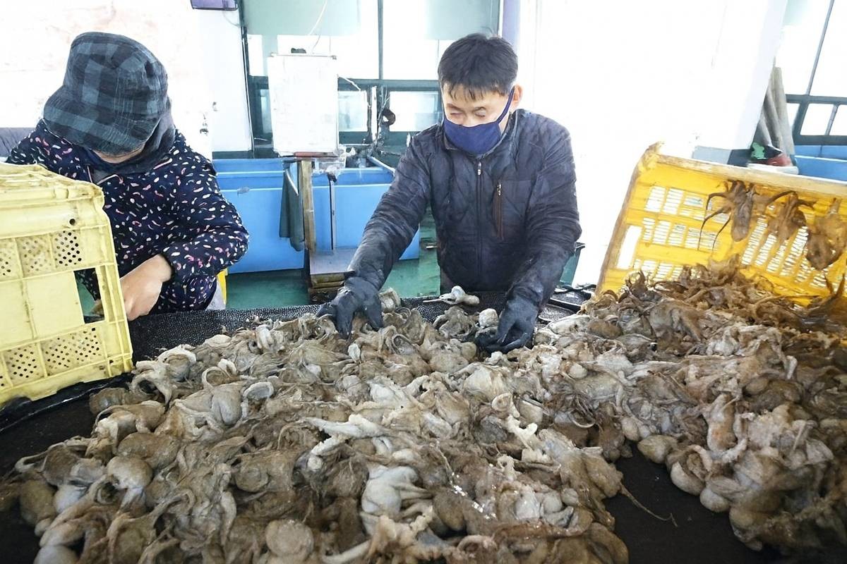 연합뉴스 자료사진을 AI로 재현한 사진. 기사와 무관