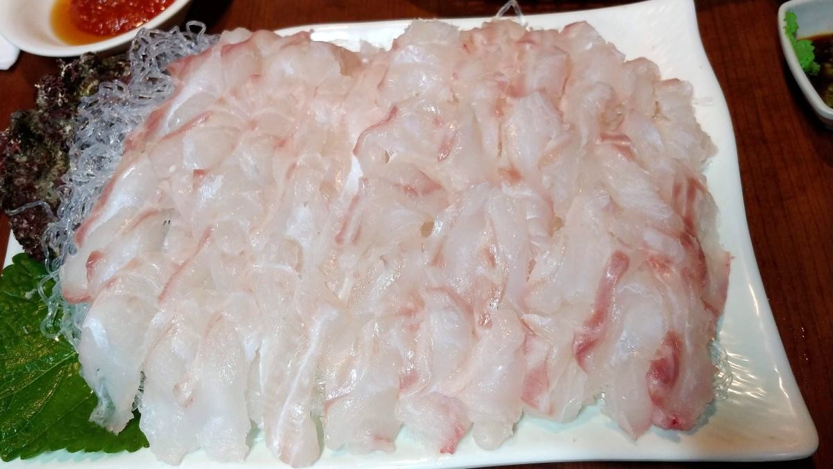 제주 다금바리 회 / 연합뉴스