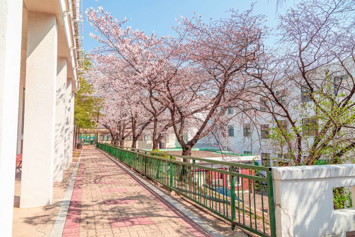 정독도서관. / masary78-shutterstock.com
