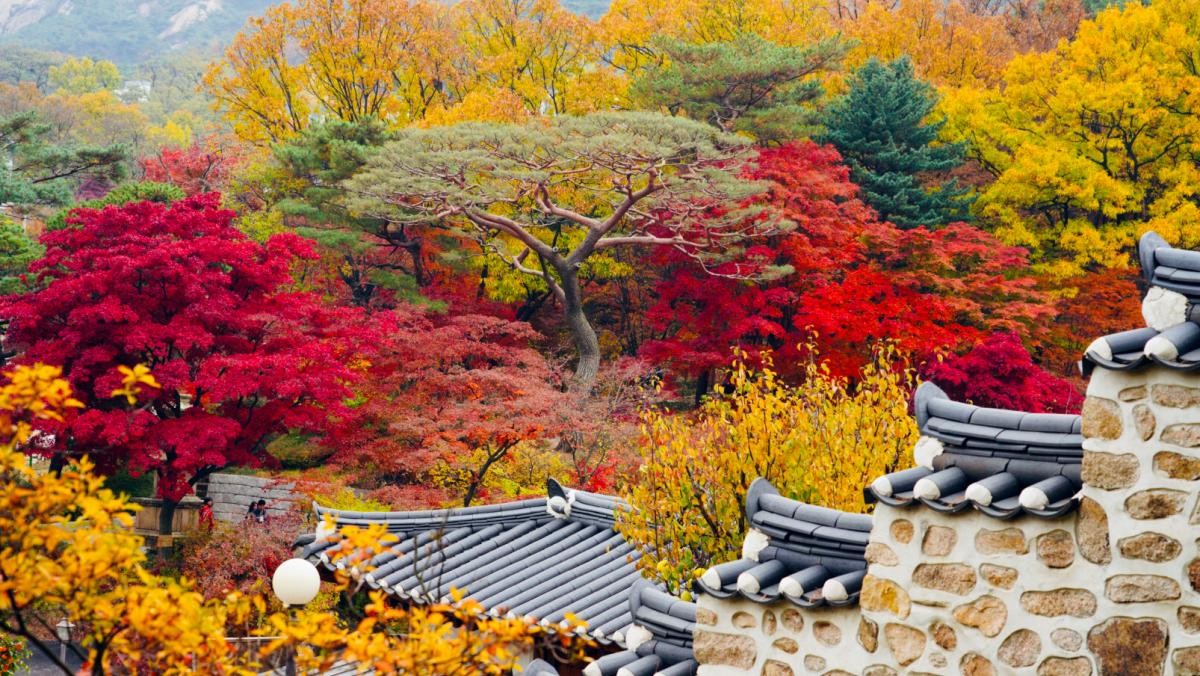 가을 석파정 모습. / 연합뉴스