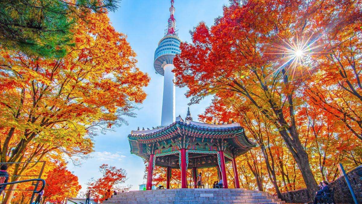 가을철 서울 남산. / pThe Green foto-shutterstock.com