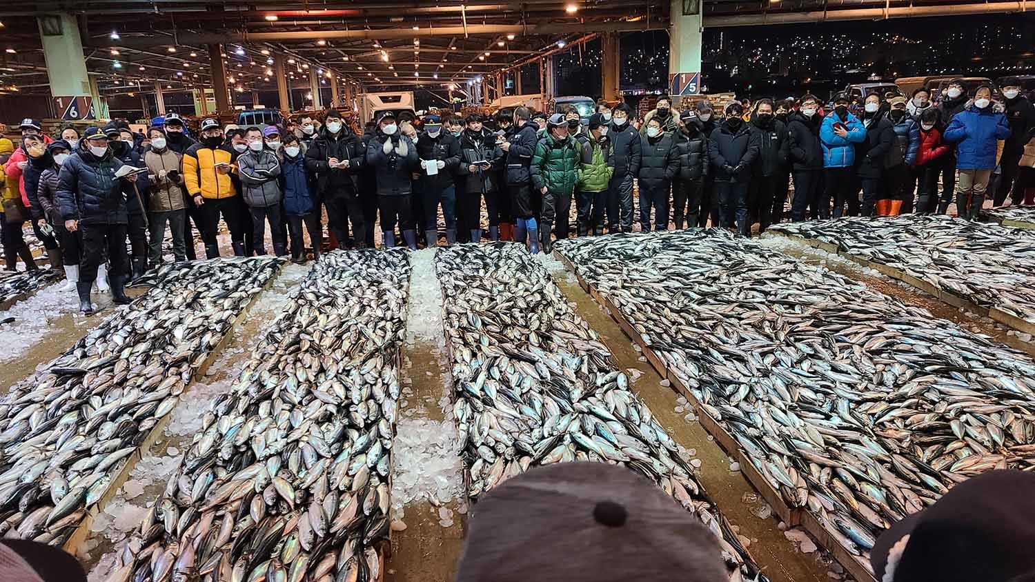 부산공동어시장 초매식 / 뉴스1 자료사진