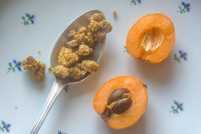 비파 / Bildagentur Zoonar GmbH-shutterstock.com