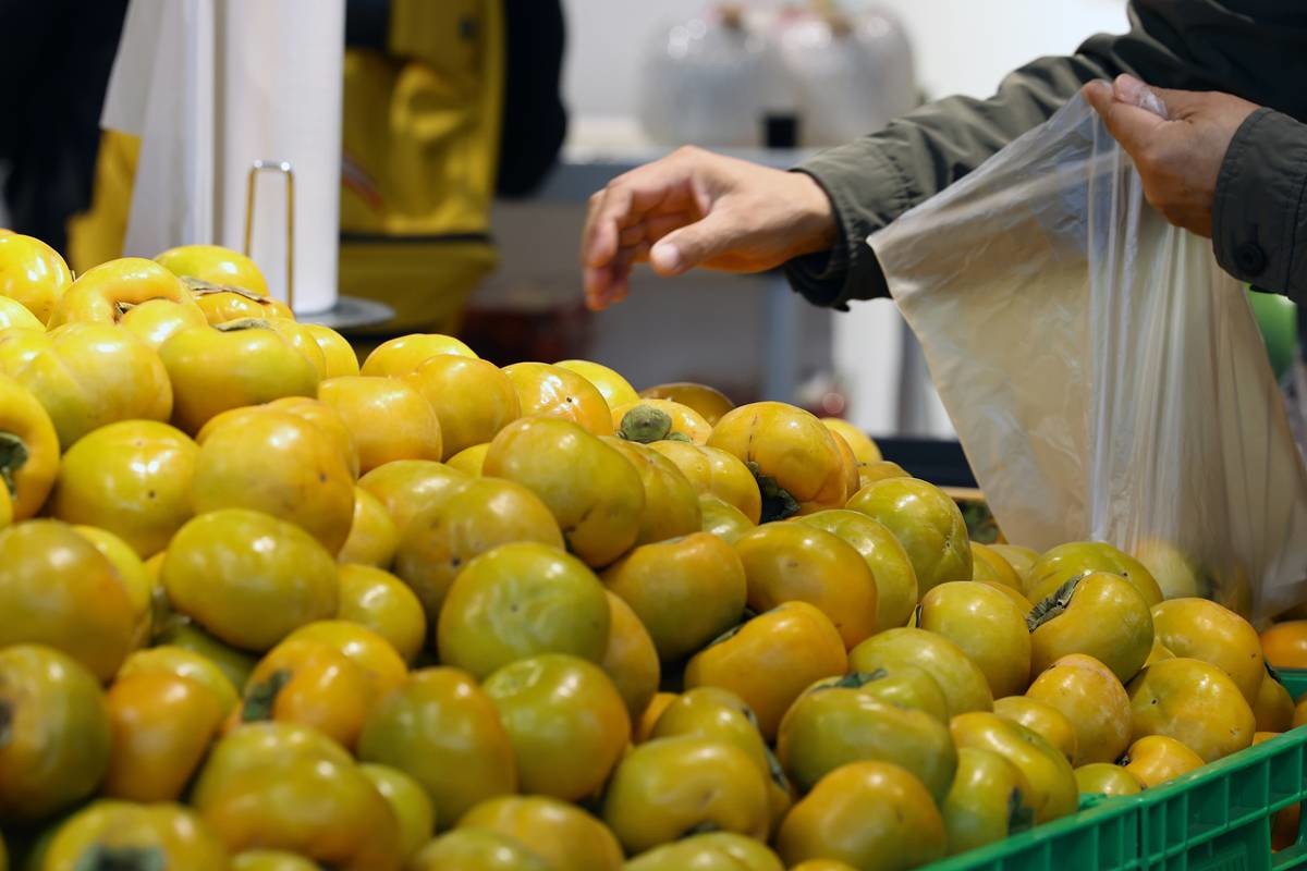 단감 자료 사진 / 뉴스1