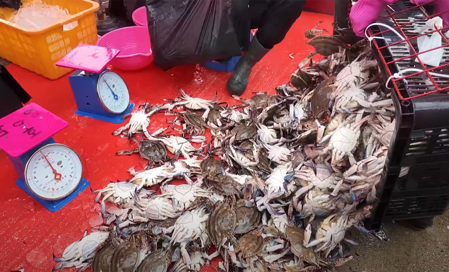 소래포구 난전 어시장에서 팔리고 있는 꽃게 / ‘방랑자채널’ 유튜브 채널