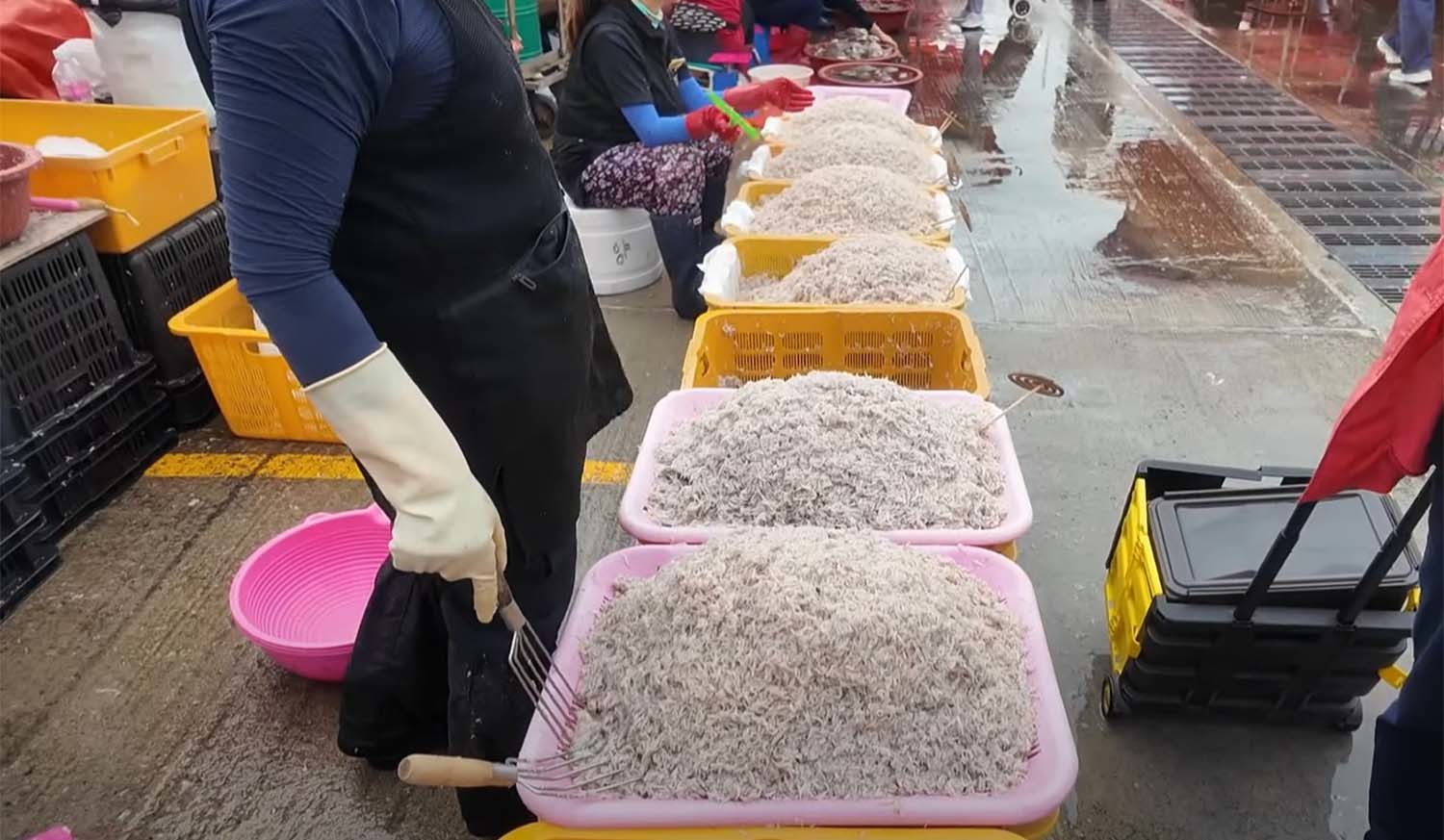 소래포구 난전 어시장에서 팔리고 있는 생새우 / ‘방랑자채널’ 유튜브 채널