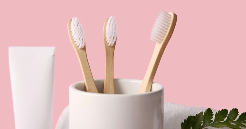 칫솔 / Pixel-Shot-shutterstock.com