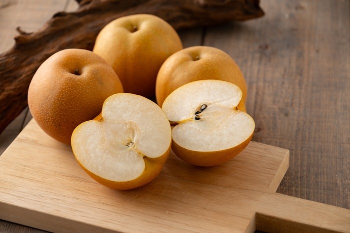 기사의 이해를 돕기 위한 사진 / Tsurukame Design-shutterstock.com