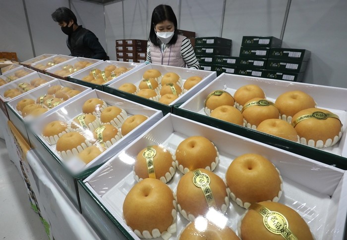 기사의 이해를 돕기 위한 사진 / 뉴스1