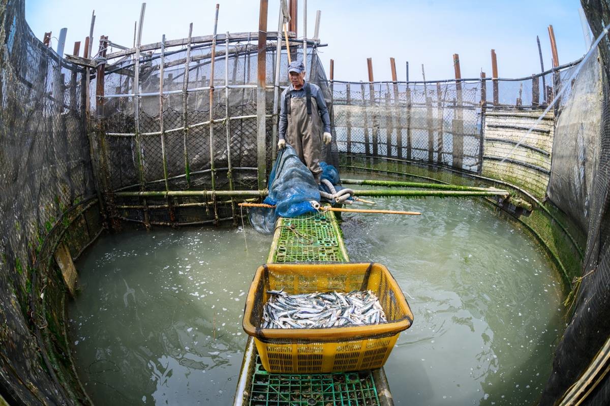 사진은 죽방렴 구조 모습 / 해양수산부 제공. 뉴스1