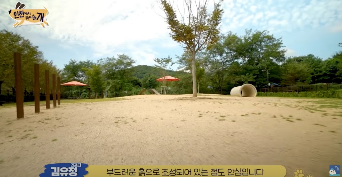 인천대공원 반려견 놀이터. / 유튜브 '인천광역시'